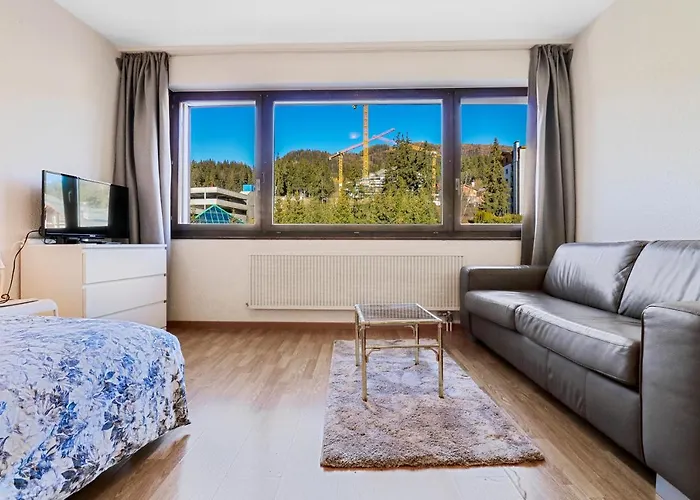 Cosy Au Centre De Lejlighed